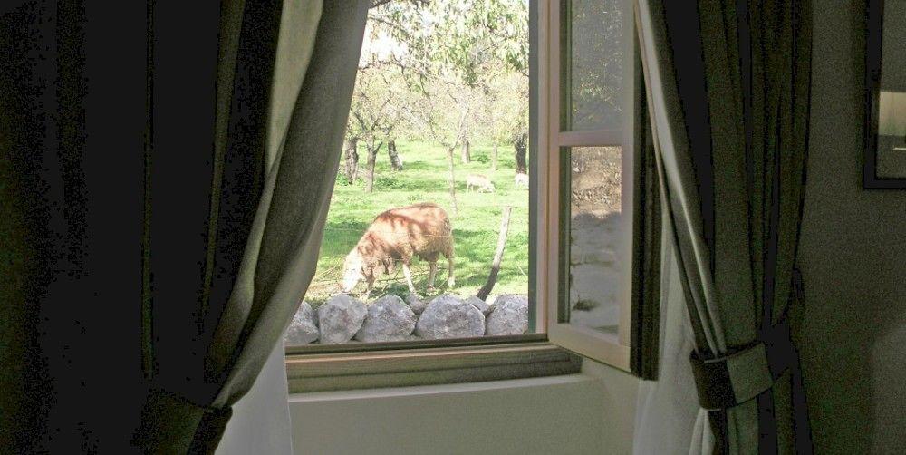 S'Hort De Cas Misser Boutique Hotel (Adults Only) Сельва Экстерьер фото